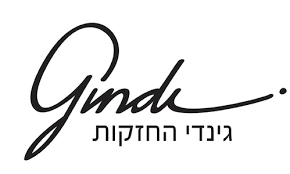 logo-גינדי החזקות