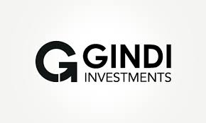 logo-גינדי השקעות