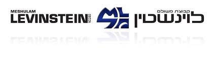 logo-levinstein